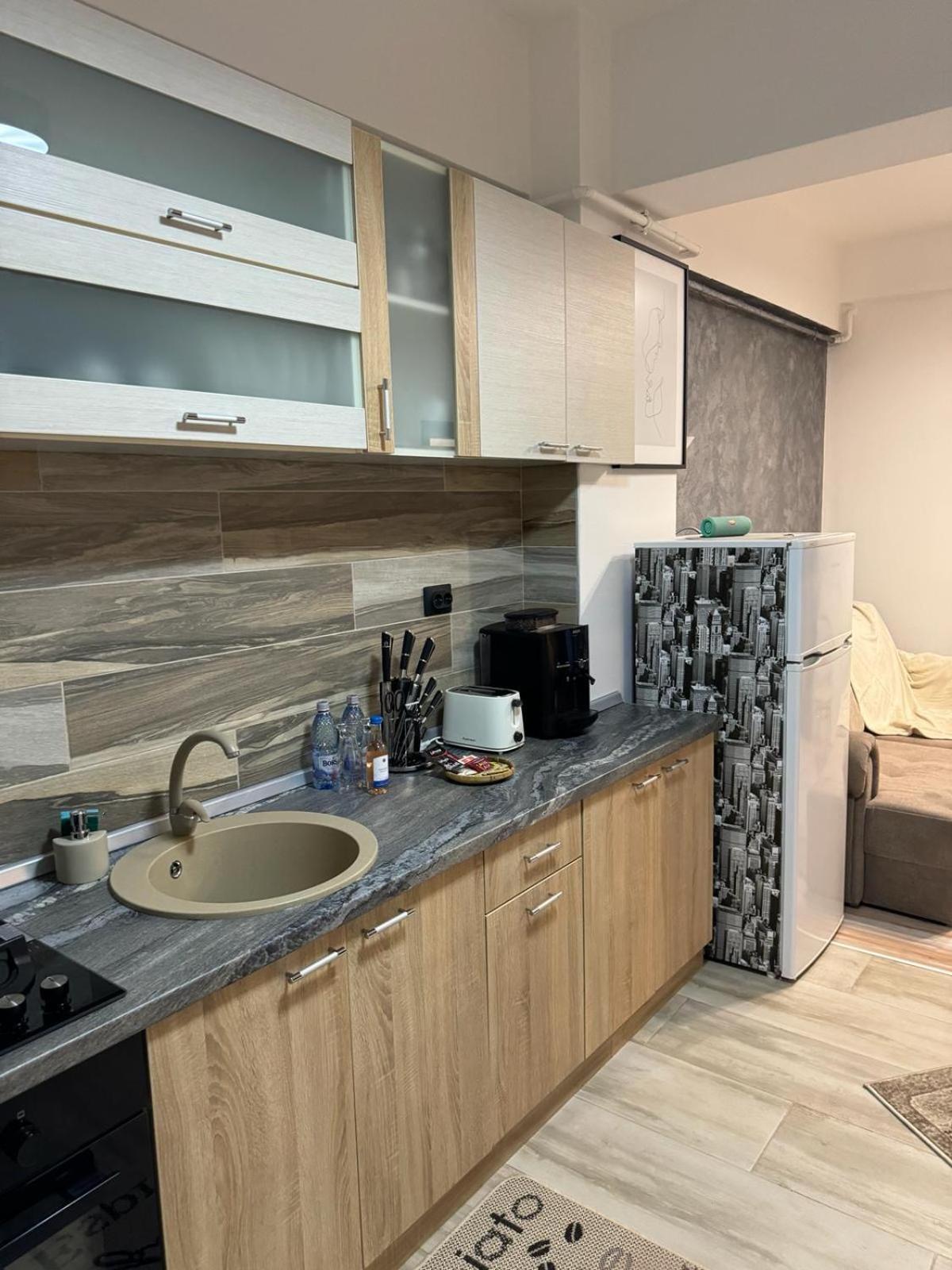 Luxury Young Residence 이아시 외부 사진