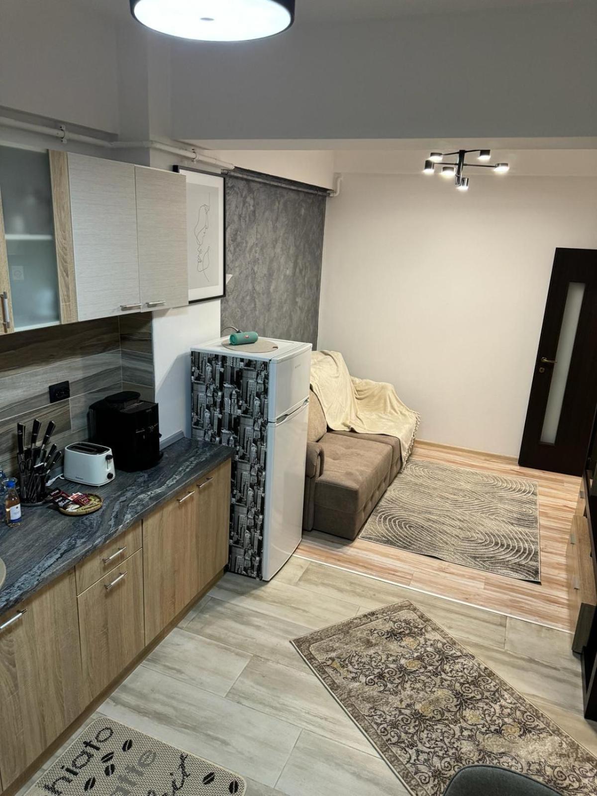 Luxury Young Residence 이아시 외부 사진